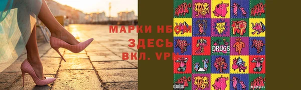 гашик Алексин