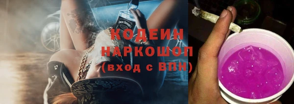 гашик Алексин