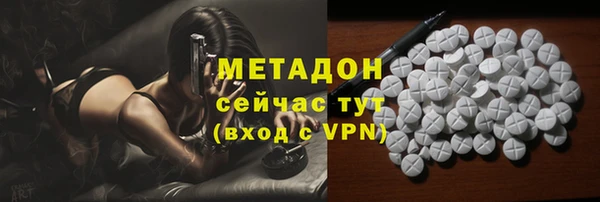 гашик Алексин