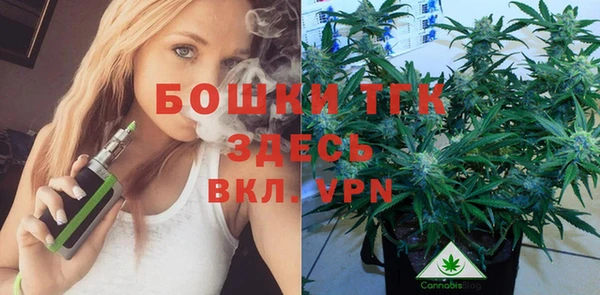 крисы Арсеньев